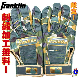 yGg[P5{IX[p[Z[ztN obeBO vf p ʗp Franklin  obeBOO[u   싅  J[ IIEGX|[c 