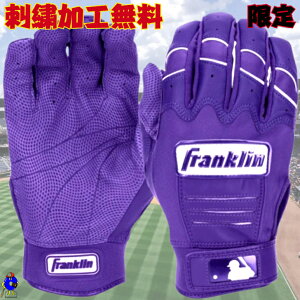 ySiP5{I}\zyhJztN obeBO p ʗp p[v Franklin  obeBOO[u CEX PRO  싅  J[   l