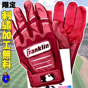 ySiP5{I}\zyhJztN obeBO p ʗp o[KfB Franklin  obeBOO[u CEX PRO  싅  J[  l