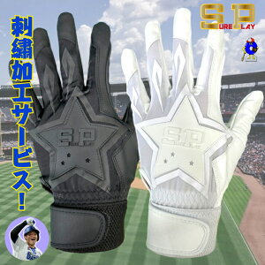 yGg[P5{IX[p[Z[zyh?T[rXIzVAvC  obeBO qf p ʗp SBA-152 SUREPLAY obeBOO[u Z싅Ή Z싅 싅 