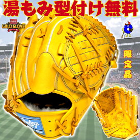 【お買い物マラソン限定！全品P5倍！】【型付け無料！】ローリングス 硬式グローブ 投手ピッチャー用 プロプリファード ウィザード 02 右投げ用 2025年モデル 高校野球対応 RGGC店限定 GH5FPW2A15MG Rawlings 硬式用 グラブ 投手用 ピッチャー用 Gタン 大人 一般用