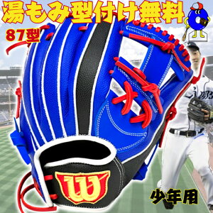 y}\ISiP5{Izy^tzEB\ N O[u I[Ehp 87^ O胂f 2025Nf WBW103892 Willson D-MAX DUAL Jr  WjAp Np Ou L