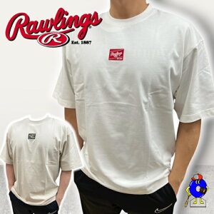 yGg[P5{IX[p[Z[z싅 [OX TVc  Y jZbNX I[V[Y AST14F04 Rawlings S by TVc t X|[cEFA 싅EFA 