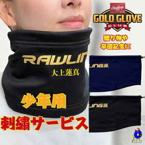 y}\ISiP5{IzyhJT[rXIz[OX 싅 lbNEH[}[ Np WjAp t[TCY EAC15F04J Rawlings ~ h ۉ hObY 싅pi 蕨 