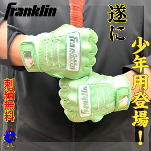 �y�S�iP5�{�I���������}���\������z�y�h�J�����z�t�����N���� ���N�p �o�b�e�B���O��� ����p �W���j�A�p �~���g Franklin ���� �o�b�e�B���O�O���[�u CEX PRO 20238 ���N�싅 �싅 ���w�� �q�� 