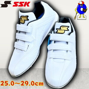 yGg[P5{IX[p[Z[zSSK 싅 XpCN zCg }WbNe[v ESF3233VWF GXGXPC vGbW TT-VWF XpCN 3{xg Z싅Ή w싅Ή ߍ 