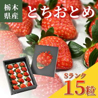 【送料無料】国産いちご とちおとめ 贈答用（箱入り15粒） いちご イチゴ 苺 果物 フルーツ 国産 栃木産 …