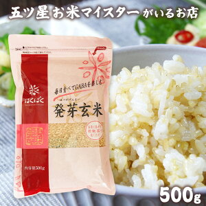 茺 500g 茺  Y ͂΂ Mo N _CGbg H@