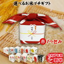 引っ越し挨拶ギフト お米のプチギフト 赤色 1つ包み（1銘柄） 2...