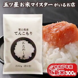 令和7年産 新米 お米 富山県産てんこもり1袋 （300g 約2合） 精米 300グラム 米 富山県産【送料無料】お試し メール便 グルメ食品