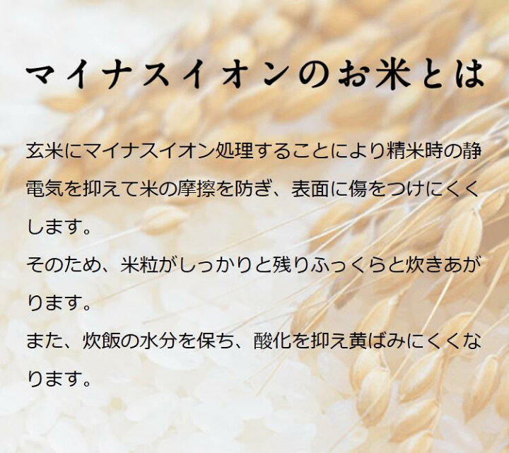 楽天市場】令和7年産 米 富山県産もち米 新大正糯 1.5kg 米 富山県産 