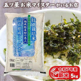 令和7年産 新米 富山県産 こしひかり特別栽培米 5kg 5kg プレゼント お米ギフト 精米 分づき米 コシヒカリ 白米 5キロ 食べ物 入学内祝い 就職祝い 仕送り ご飯 ギフト 年寄り 一人暮らし 引っ越し 挨拶 お米 贈り物 食品 名入れ のし対応 無洗米
