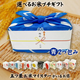 引っ越し挨拶ギフト お米のプチギフト 青色 2つ包み（2銘柄） 令和6年産 2合×2（300g×2） プチギフト 12銘柄から選べる 国産 お米 ギフト 食べ比べ 贈り物 プレゼント お祝い返し 米 お礼 お歳暮 食べ物 引越し ご挨拶 退職 景品 粗品 食品 送料無料