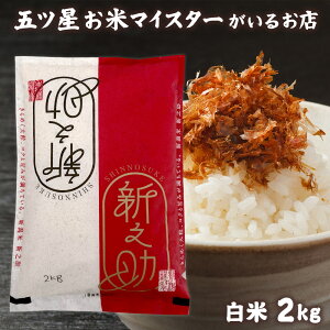 VY VV  2kg  2L Â VYVV2kg ߘa6NY Hו wj z A wj j AEj d  Mtg N l炵 hV̓ 