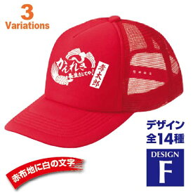 還暦祝い 名入れキャップ new 帽子 デザインF 賀寿 祝い歳 贈り物 プレゼント いろいろなバリエーション