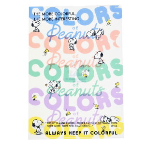 スヌーピー A4 クリアホルダー クリアフォルダー クリアファイル ファイル 透明 クリア プリント入れ 文房具 文具 かわいい 可愛い キャラクター スヌーピーグッズ グッズ SNOOPY PEANUTS 書類 大