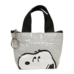 g[g^RC|[` LN^[ t RC|[` RCP[X K |[` |[`  L[z_[ g[g  킢 TI Xk[s[ gƃWF