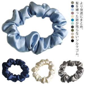 v[g S12F VN VN100 wAANZT[ ̖т܂ȂIwAS   ㎿   c ÓdCh~