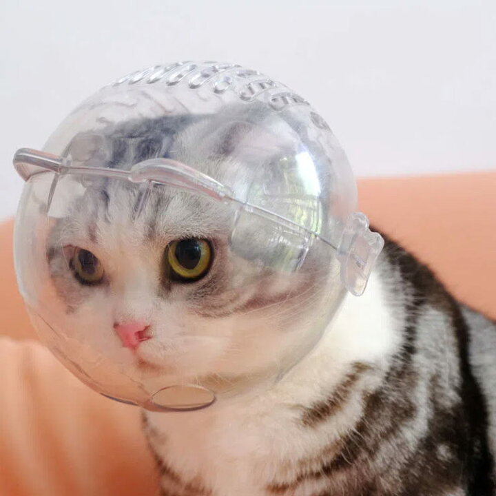 楽天市場】猫用マスク 口輪 フートカバー付き 透明 ペットマスク 宇宙ヘッドギア口輪 通気性 猫 エリザベスカラー 通気 ネコ ねこ 爪切り補助具  耳掃除 シャワー 美容 噛みつき防止 ペットエリザベスカラー キャットマズル ペット用品 : OPEN-CLOTHES