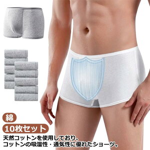  ʕ ĝăV[c ĝ 10Zbg  Rbg {NT[pc ĝă{NT[pc  s @ jp  gxV[c o pc ĝĉ 