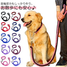 中型犬 2点セット 首輪 小型犬 リード 犬 リードセット 送料無料 編み紐 大型犬 首輪セット 太く 頑丈 犬用リード 極太 リード 噛み癖 防止 ドッググッズ 散歩 お出かけ しつけ ペット ペット用 おでかけ用品 丈夫