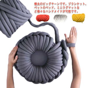 `L[jbg 500g [ `L[[ uPbg jbg[ _炩 ɑю ю | ҂ݕ  ɑ diy nhCh [ CX^f SNS CeA JE` 