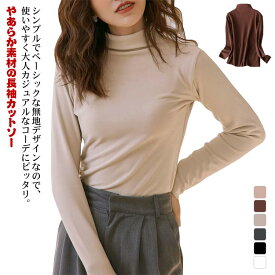 タートルネック インナー レディース Tシャツ ハイネック 両面起毛 カットソー 大きいサイズ カットソー 長袖 トップス ストレッチ フィット ロング丈T 小顔効果 ふんわり柔らかい シンプル 無地 レイヤード 重ね着 体型カバー 秋 冬 あたたか カジュアル 送料無料