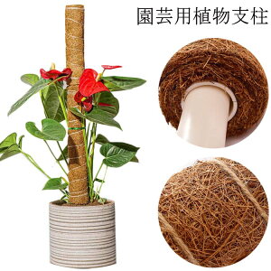 Ax x |p RRibcx RRibcp[XeBbN x ϗt RRibcx  Xe A ͔| A VR AT|[g t[X^h  Ԏx t[x 