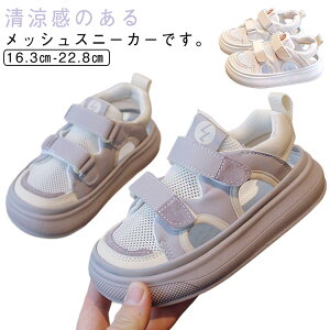 T_ ~ Xj[J[T_ ܐی ʊw xr[ V[Y ʋC X|[cT_ q Xj[J[ t  bV  y ̎q ₷ Xj[J[T_  q