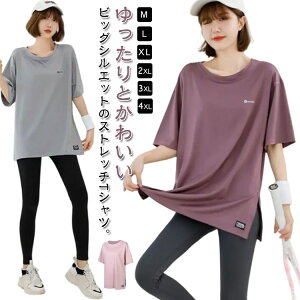 K fB[X  KEFA KtVc TVc ̌^Jo[ fB[X zbgK gbvX seBX O X|[cEFA  Xgb` 킢 䒷 K B t