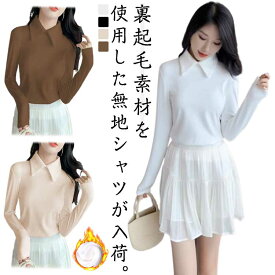 秋冬 シニア トップス ファッション 長袖 レディース Tシャツ プルオーバー 裏起毛 tシャツ 2枚セットポロシャツ カットソー ポロシャツ 秋 洗える 吸汗速乾 形態安定 起毛 防寒 ポロ 冬 大きいサイズ ゴルフ 仕事 母 プレゼント