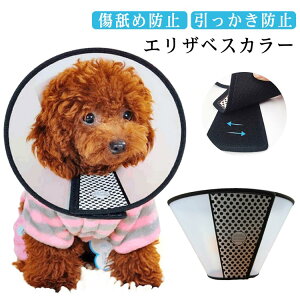  GUxXJ[ y \tg^Cv   Lp hbO 9TCY GUxXJ[ 炩 ی rߖh~  \tg pi pEFA  ی h