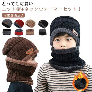  LbY Xq {A jbgX lbNEH[}[ 2_Zbg P[u҂ h jbgLbv Xk[h }t[ N ] ʉ ʊw Xm{[ XL[ AEghA q Wj