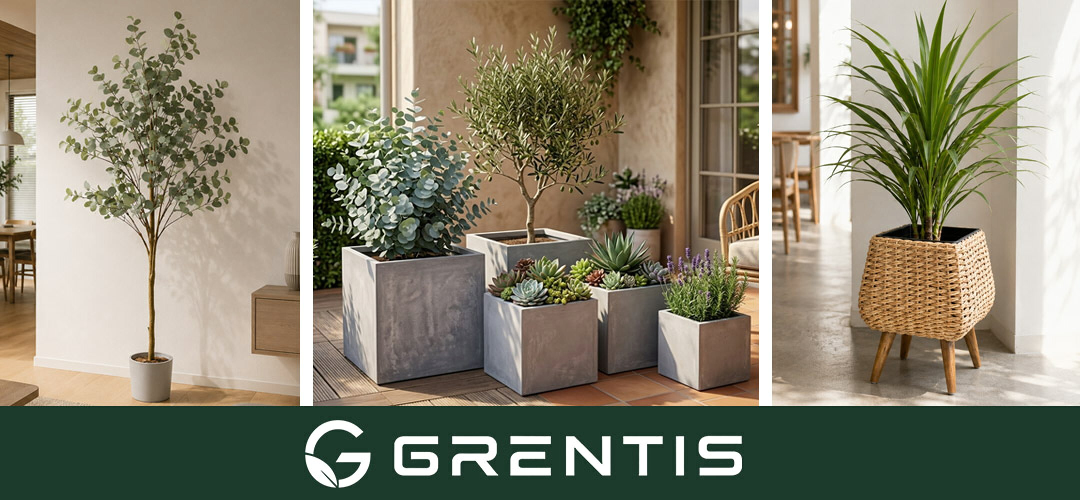 GRENTIS(グレンティス) 
