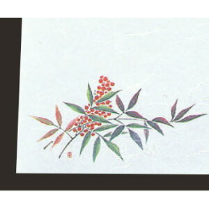 ڎO ΂܂ RۉԘa(100)WS-4 Vy~}bgzyΗz