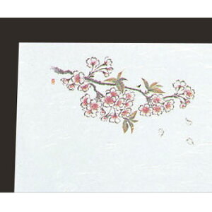 ڎO ΂܂ RۉԘa(100)WS-9 y~}bgzyΗz