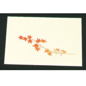 ڎO ΂܂ N[(100)WSS-12 ݂y~}bgzyΗz