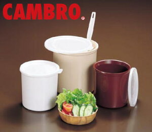 NbNX (T_hbVO) CP27 uEyoCLOpi rbtFpizyzyT_o[zyLuzyCAMBROzyƖpz