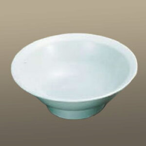 ~ ؘ CS-13 ()yԂzyqzyƖpz