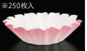 ԂȂ(250)  SKA134yzyܓzyzyƖpz