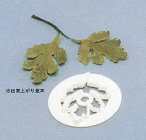 et^ CDE255 yyXg[ObYzyٗpi mَqČ^ zype NbL[^zyCulpittzyƖpz