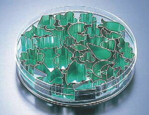 }gt@ P[X蔲^ (24Zbg) 79628 yٗpi mَqČ^ zype NbL[^zyMATFERzyƖpz