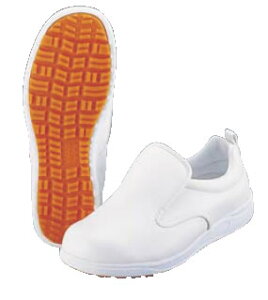 ATqRbN 101(ϖ)  29cmyRbNV[Yzy~[CzyƖpz