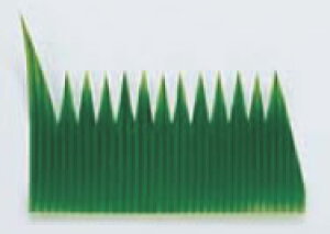 o ֏1 (1000)yĝĐH ezylo lnzyܔ do ٓpizyd؂zyƖpz