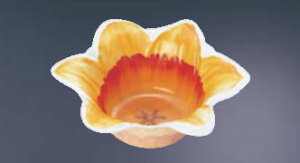 vJbv  FZ-1(300)yĝĐH ezyܔ do ٓpizyd؂zyJbvzyJbvzyƖpz