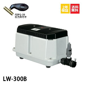 y2NۏؕtzytitzLW-300Bi100VE200V)@iGA[|v@50Hz@͌vt LW-300