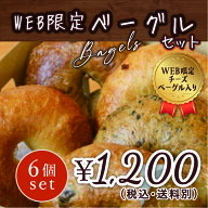 web限定ベーグル入り6個セット