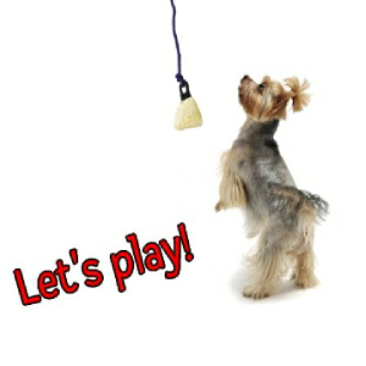 楽天市場 チェース プル L サイズ 犬じゃらし ドッグトイ 犬用おもちゃ 中型 大型犬向け 沖縄発送 Opfオンラインshop