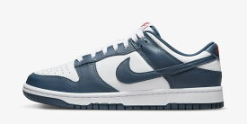 Nike Dunk Low Valerian Blue ナイキ ダンク ロー バレリアンブルー【中古】新古品