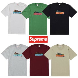 22FW Supreme Catwoman Tee シュプリーム キャットウーマン Tシャツ S M L XL Black Green Heather Grey Eggplant Stone White【中古】新古品